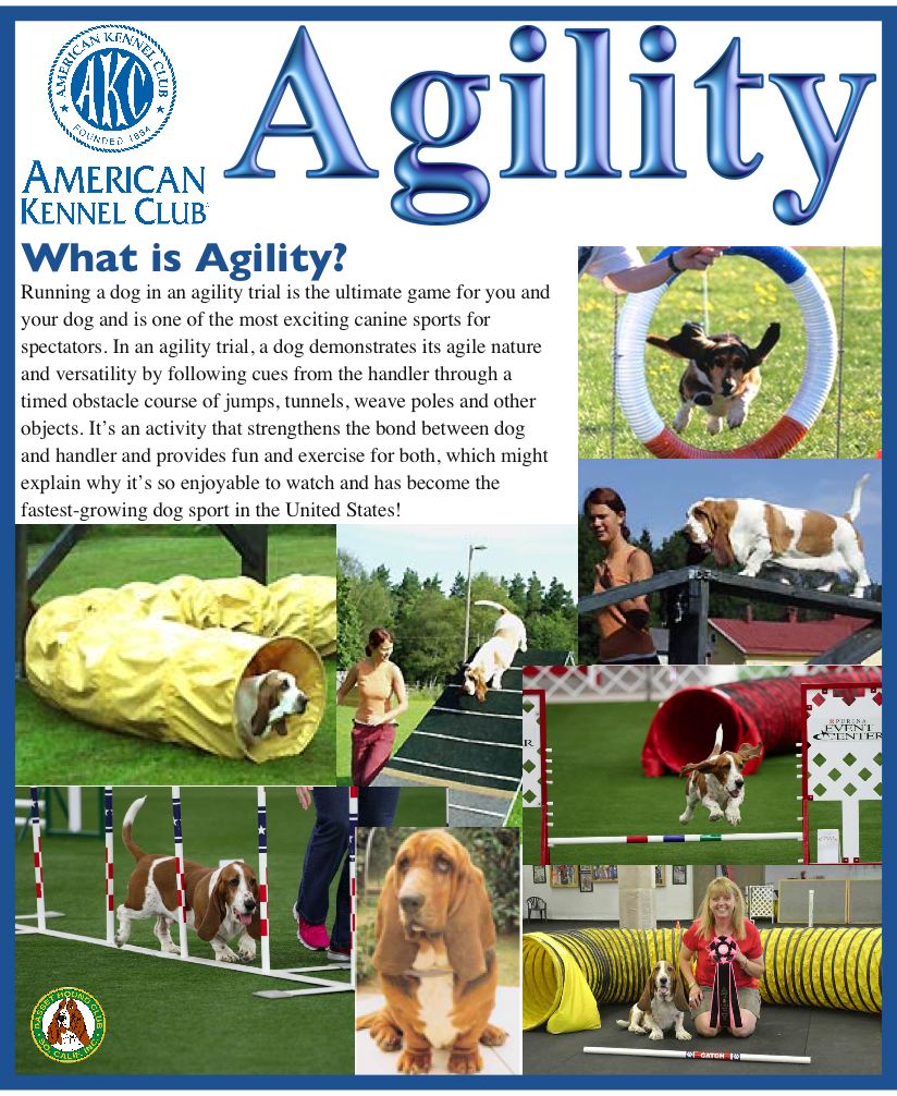 A jpeg image of this page that can be downloaded and printed.